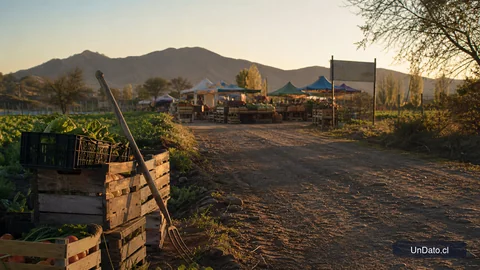 Camino rural en Chile con cajas de cosecha, una feria campesina y señalización de trabajo agrícola.