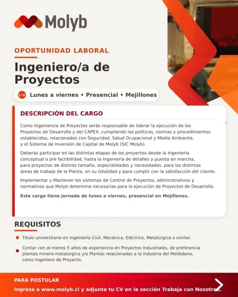 Ingeniero/a de Proyectos - imagen 1