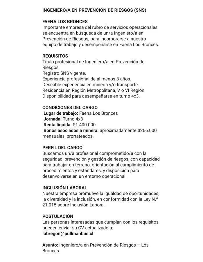 Ingeniero/a en Prevención de Riesgos - imagen 1