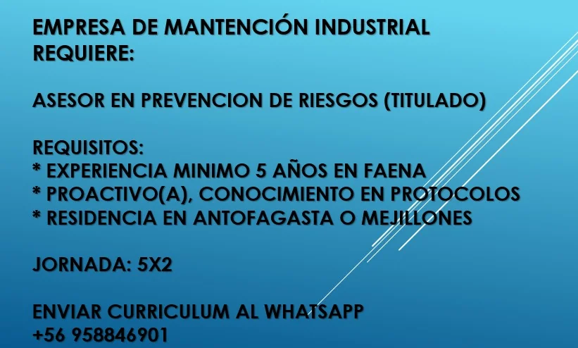 Asesor en Prevención de Riesgos Titulado - imagen 1