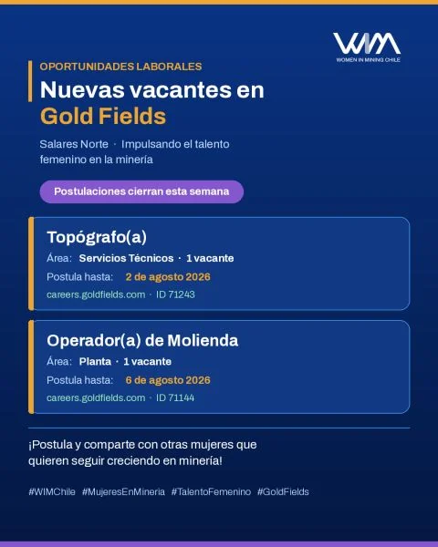 Oportunidades laborales en Gold Fields - imagen 1