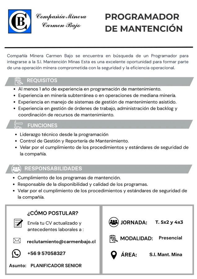 Programador de Mantención - imagen 1