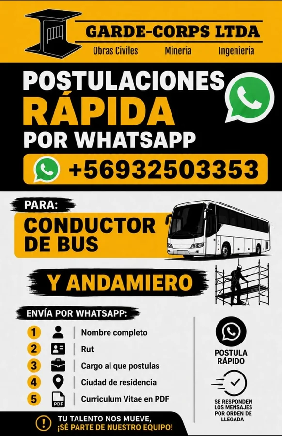 Conductor de Bus y Andamiero - imagen 1