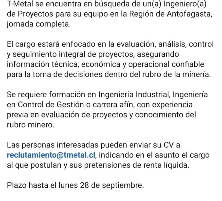 Ingeniero de Proyectos - imagen 1