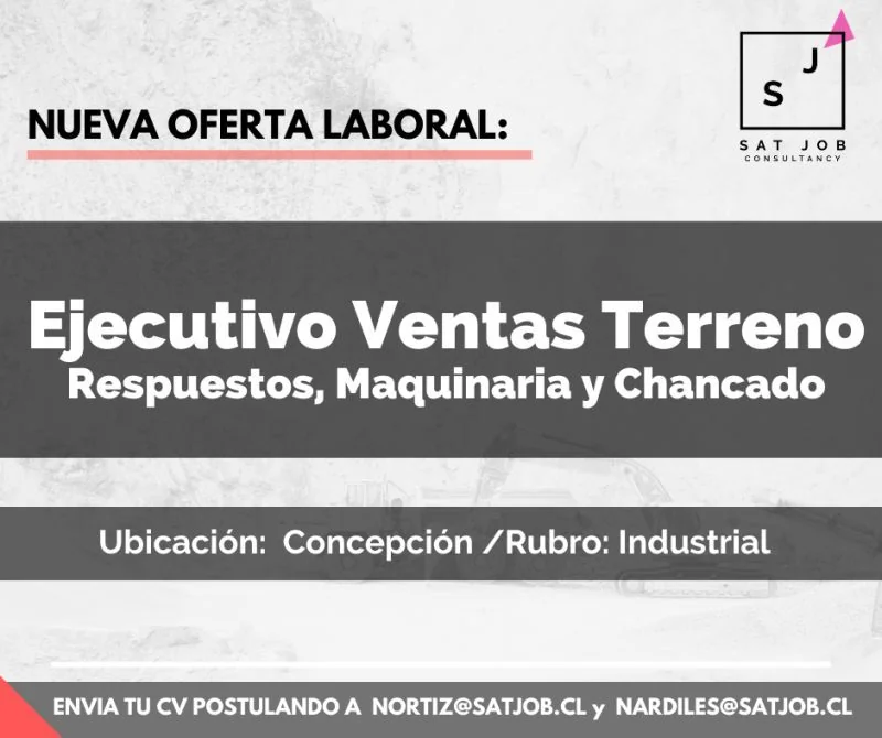 Ejecutivo de Ventas Terreno Concepción - imagen 1