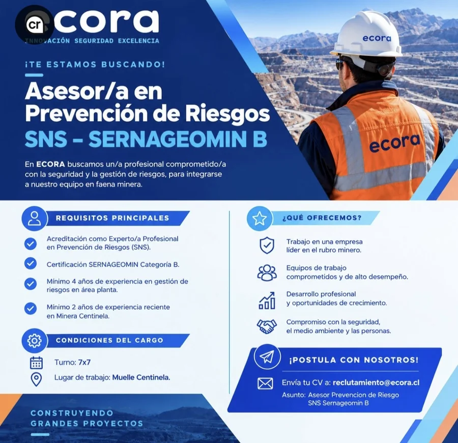 Asesor/a en Prevención de Riesgos SNS - SERNAGEOMIN B - imagen 1