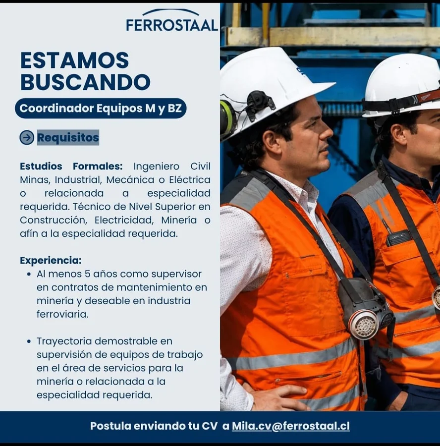 Coordinador de Equipos M y BZ - imagen 1