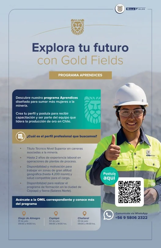 Programa de Aprendices Gold Fields - imagen 1