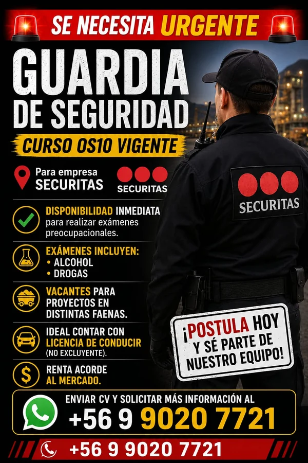 Guardia de Seguridad - imagen 1