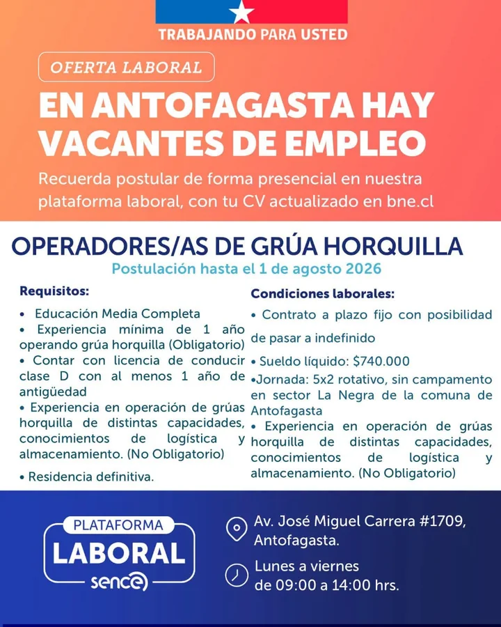 Operador de Grúa Horquilla - imagen 1