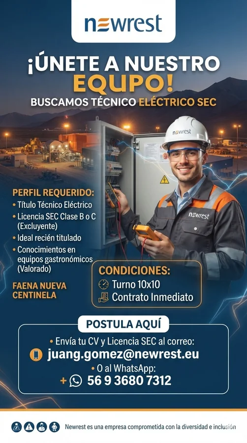 Técnico Eléctrico SEC - imagen 1