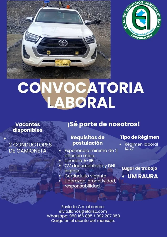 Conductor de Camioneta - imagen 1