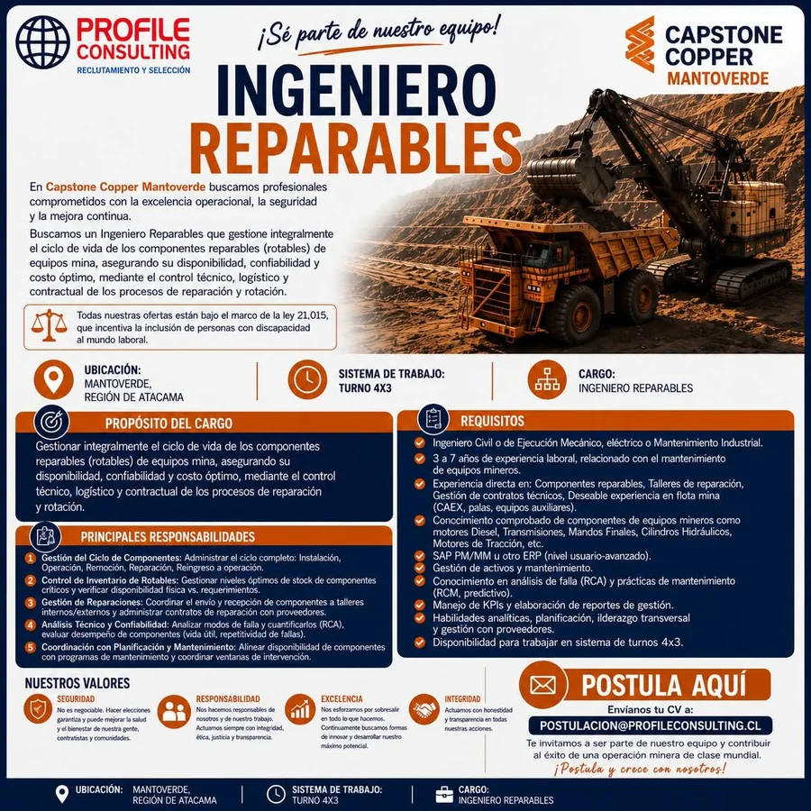 Ingeniero Reparables - imagen 1