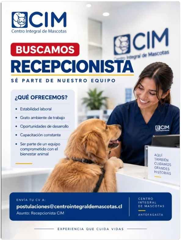 Recepcionista - imagen 1
