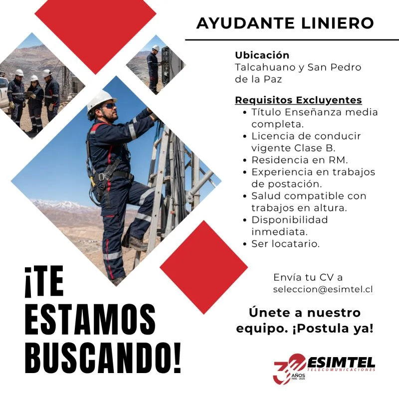 Ayudante Liniero - imagen 1