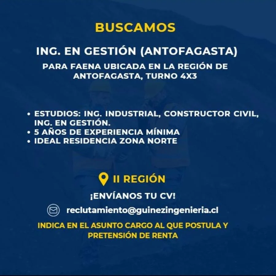 Ingeniero en Gestión - imagen 1