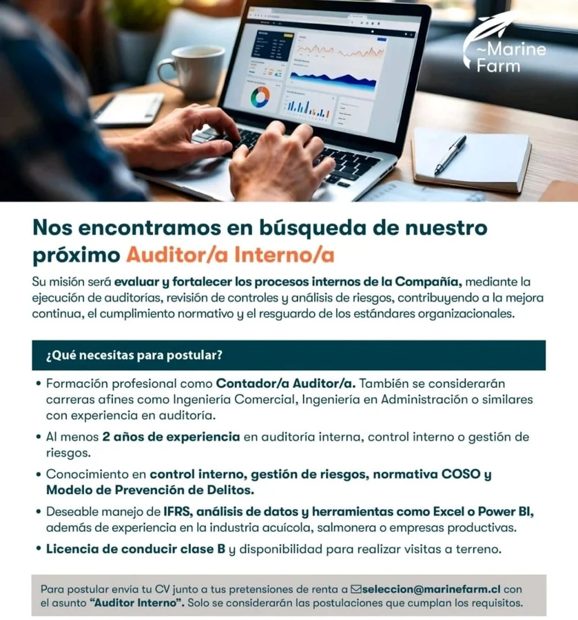 Auditor Interno - imagen 1
