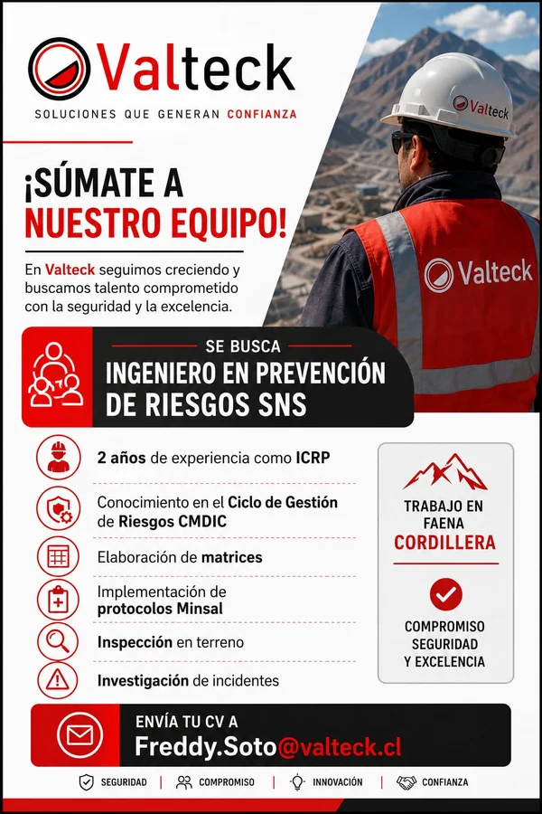 Ingeniero en Prevención de Riesgos SNS - imagen 1