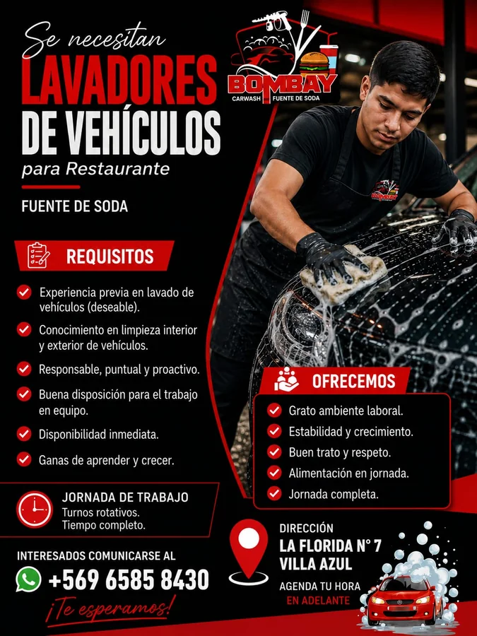 Lavador de vehículos - imagen 1