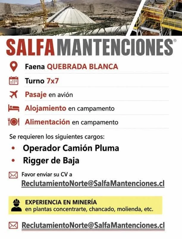 Operador Camión Pluma y Rigger de Baja - imagen 1