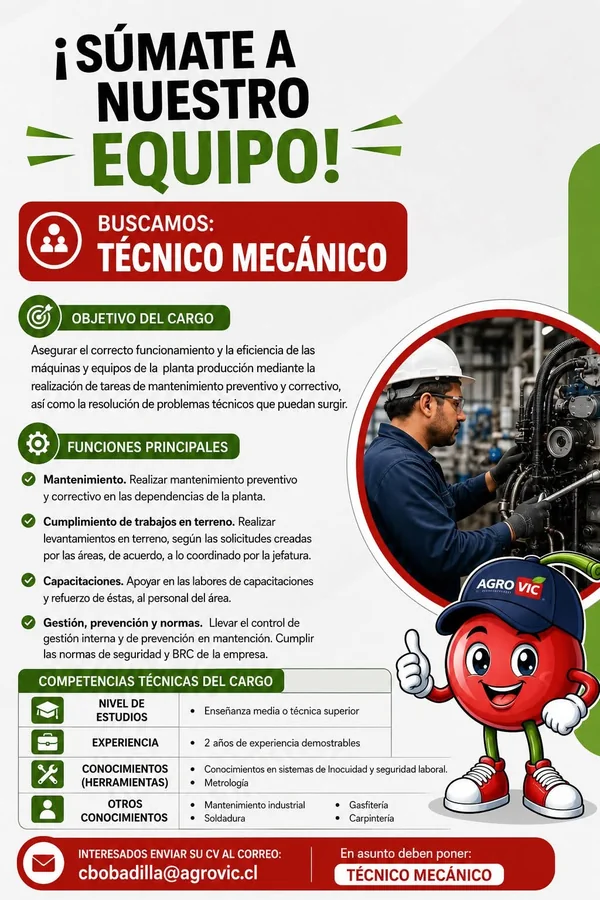 Técnico Mecánico - imagen 1