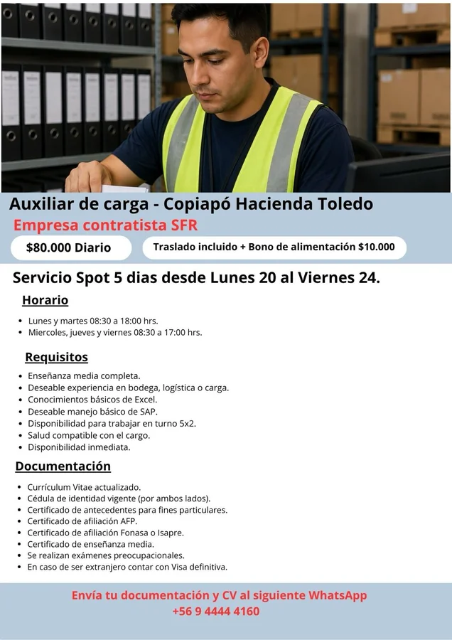 Auxiliar de carga - imagen 1