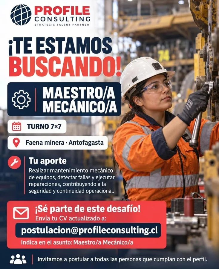 Maestro/a Mecánico/a - imagen 1
