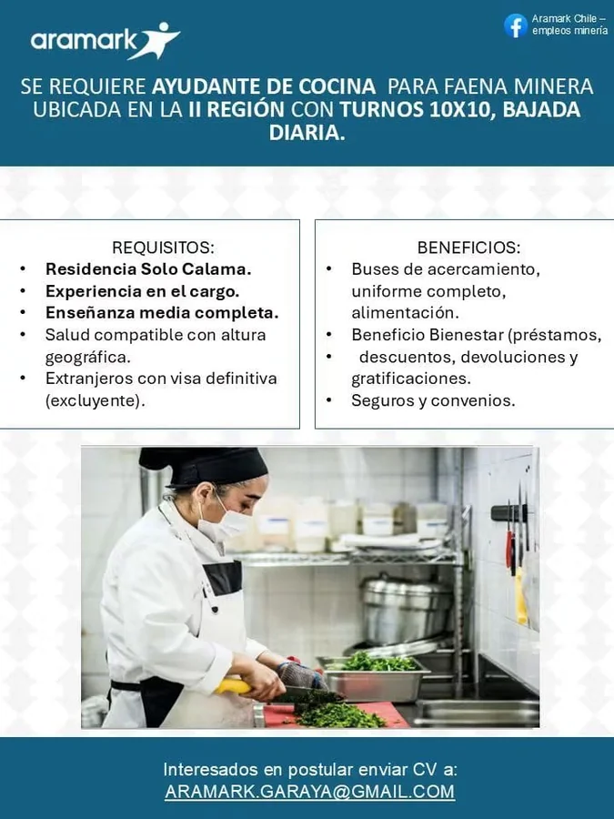 Ayudante de cocina para faena minera - imagen 1