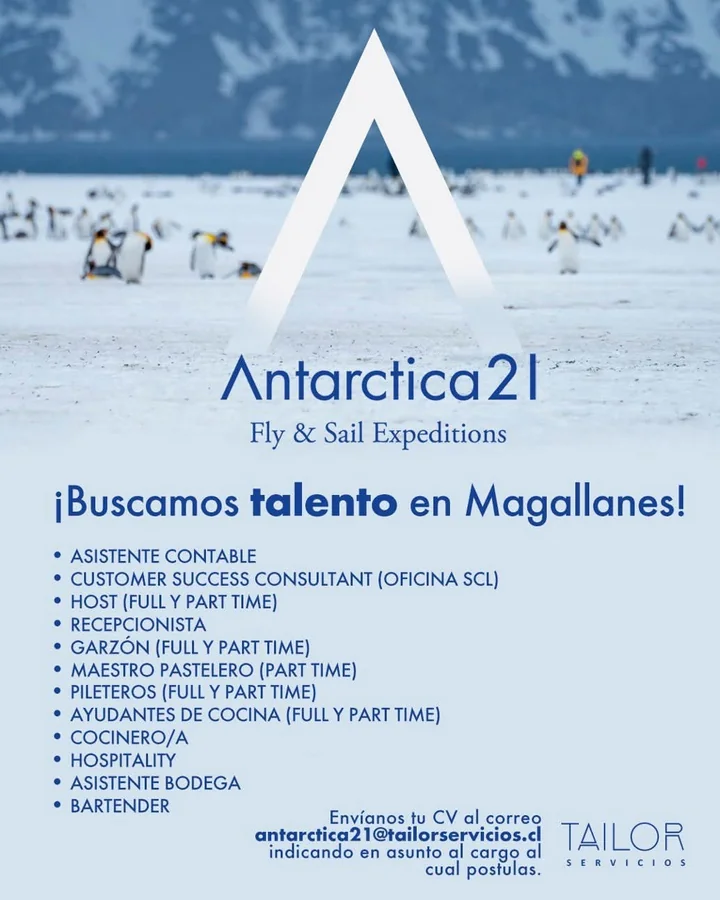 Búsqueda de talento en Magallanes - imagen 1