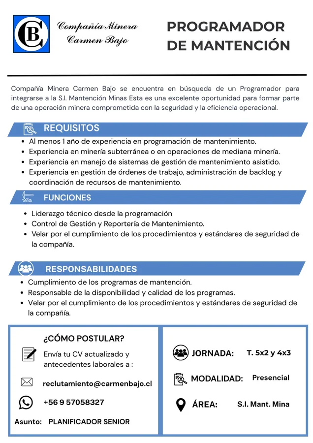 Programador de Mantención - imagen 1