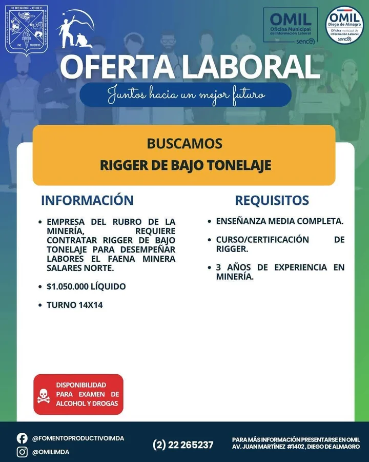 Rigger de Bajo Tonelaje - imagen 1