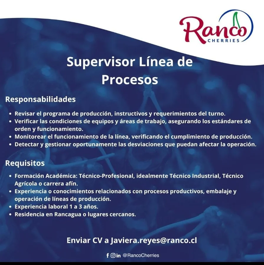 Supervisor Línea de Procesos - imagen 1