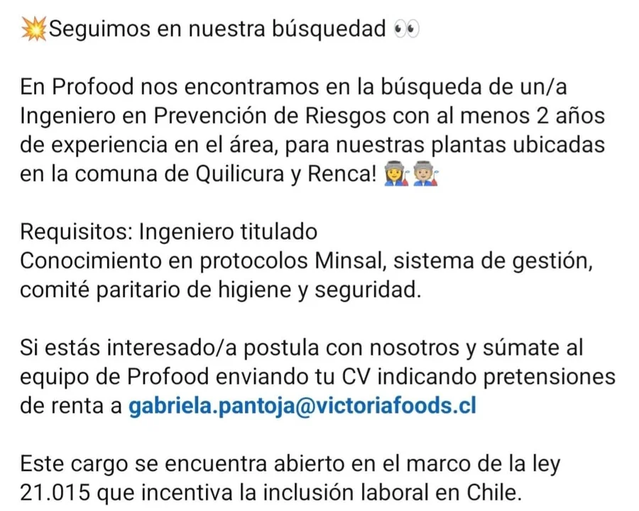 Ingeniero en Prevención de Riesgos - imagen 1