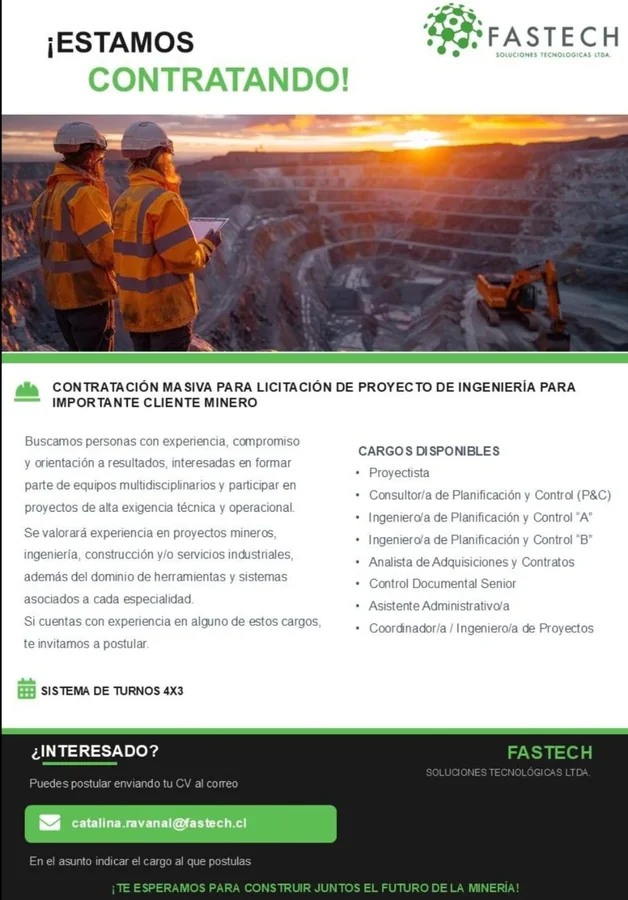 Cargos para Proyecto de Ingeniería Minera - imagen 1