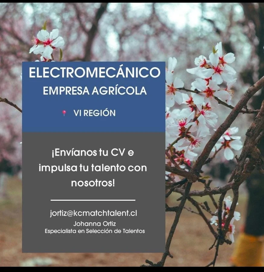 Electromecánico - imagen 1