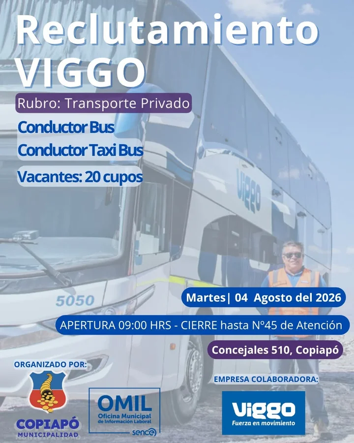 Conductor de Bus y Taxi Bus - imagen 1