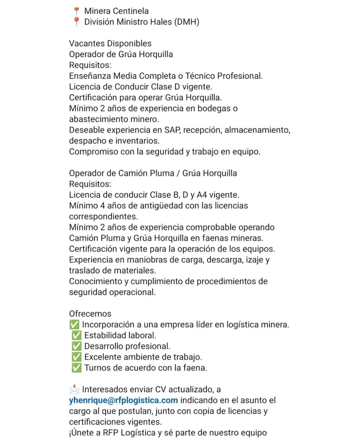 Operadores de Grúa Horquilla y Camión Pluma - imagen 1