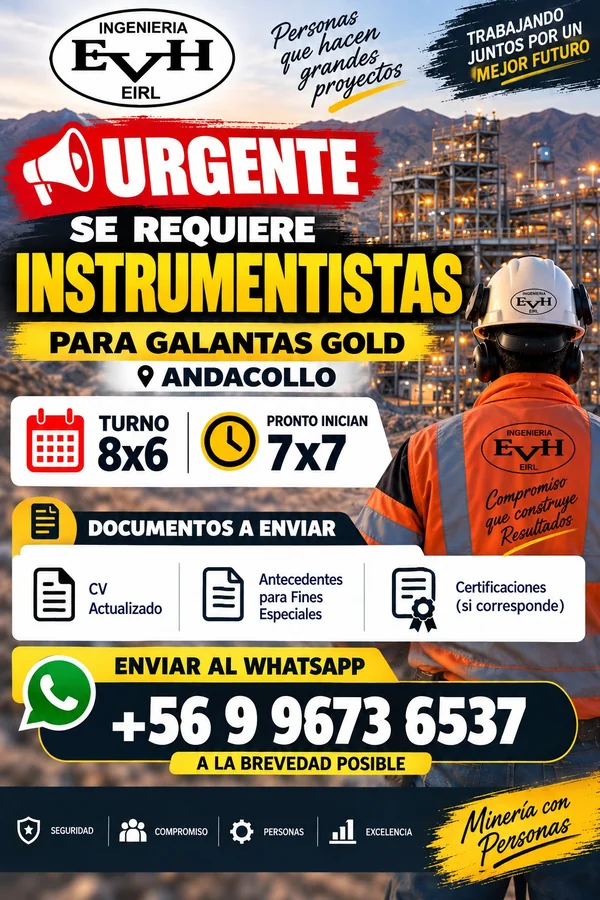 Instrumentista - imagen 1