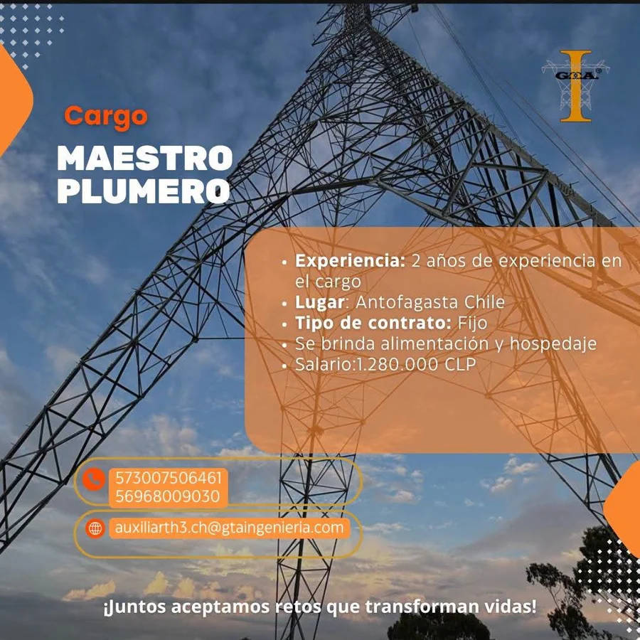 Maestro Plumero - imagen 1