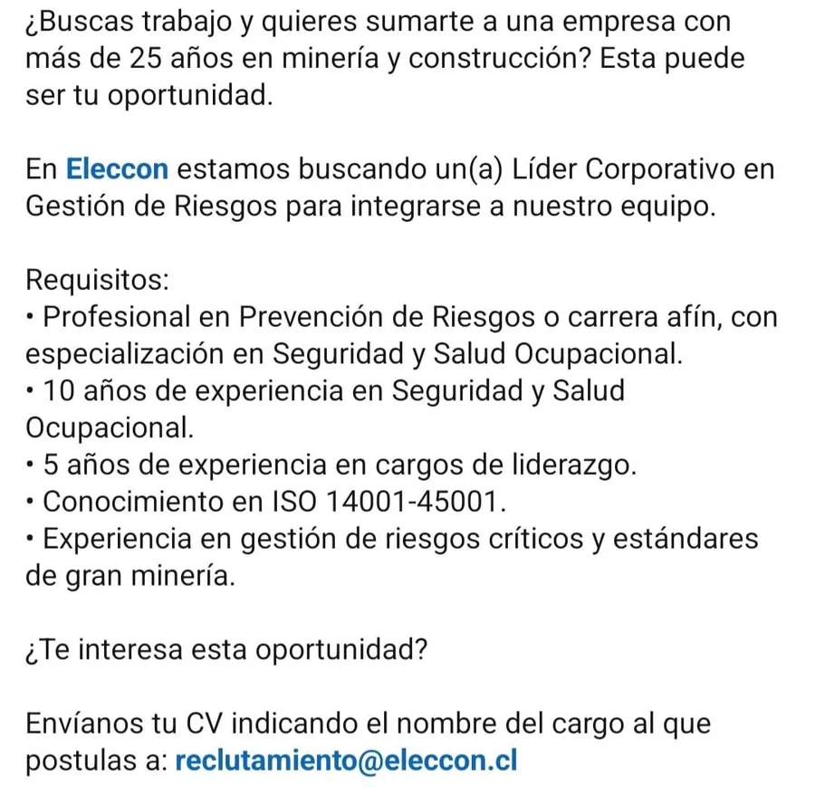 Líder en Gestión de Riesgos en Minería y Construcción - imagen 1