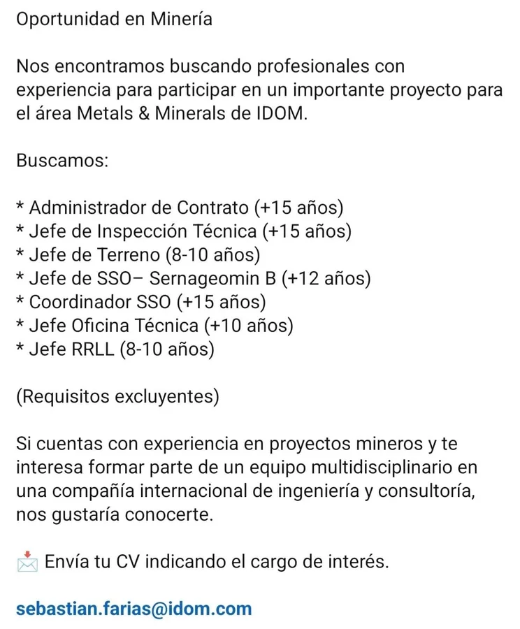 Oportunidad en Minería en IDOM - imagen 1