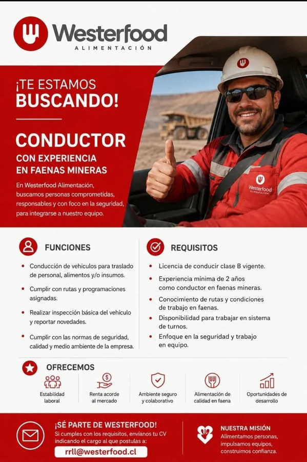 Conductor con experiencia en faenas mineras - imagen 1