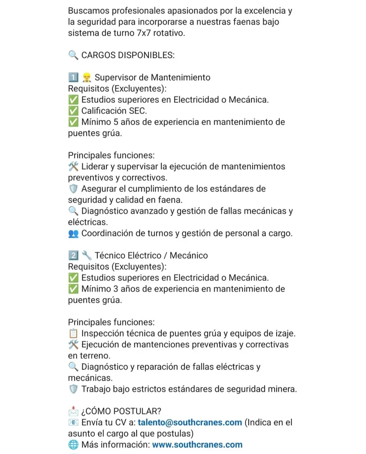 Supervisor de Mantenimiento y Técnico de Puentes Grúa - imagen 1