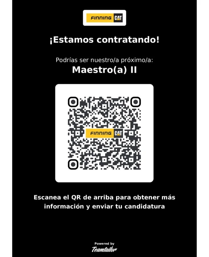 Maestro(a) II - imagen 1
