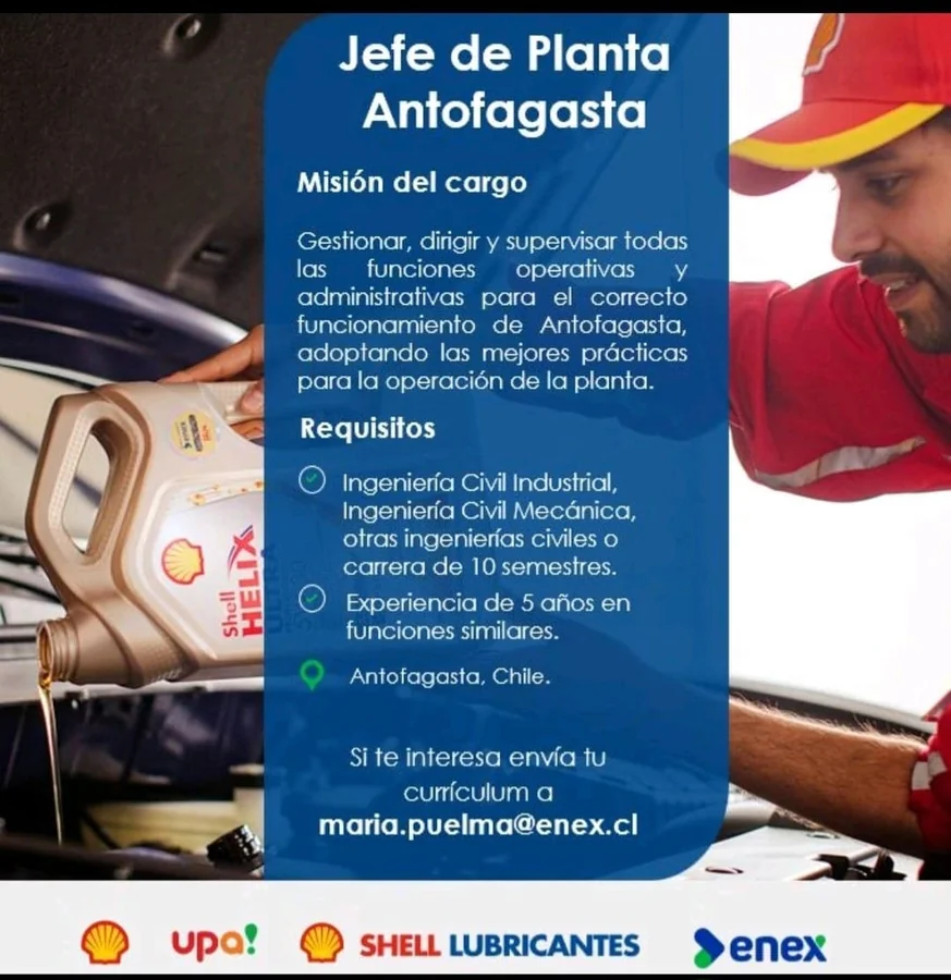 Jefe de Planta - imagen 1