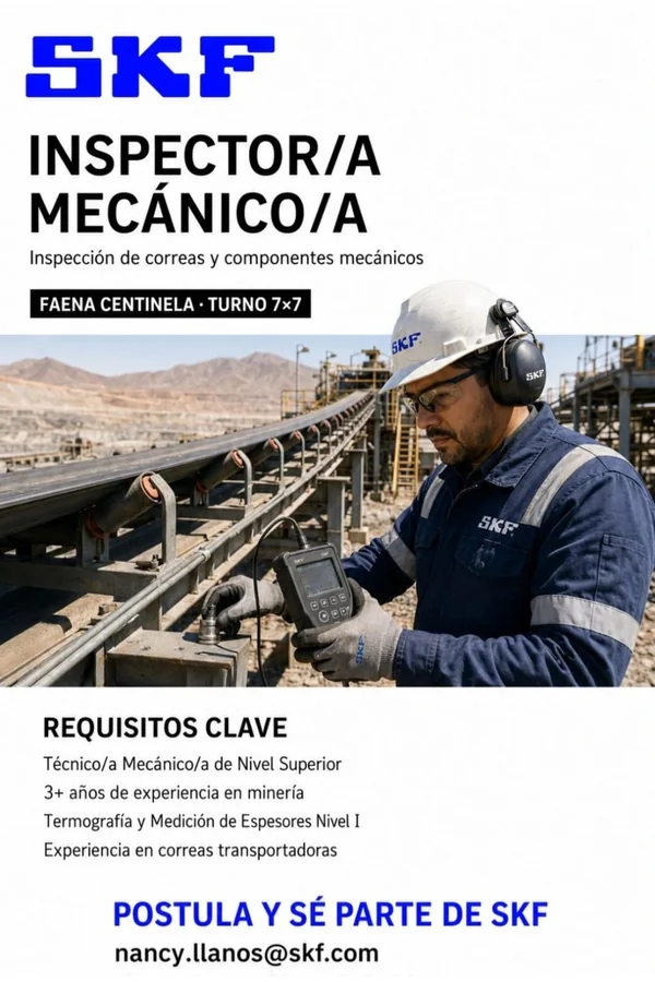 Inspector/a Mecánico/a - imagen 1