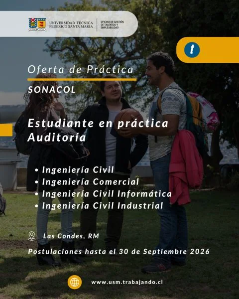 Estudiante en Práctica de Auditoría - imagen 1
