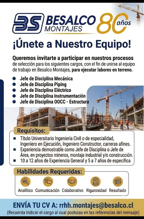 Jefes de Disciplina para Montaje Industrial - imagen 1