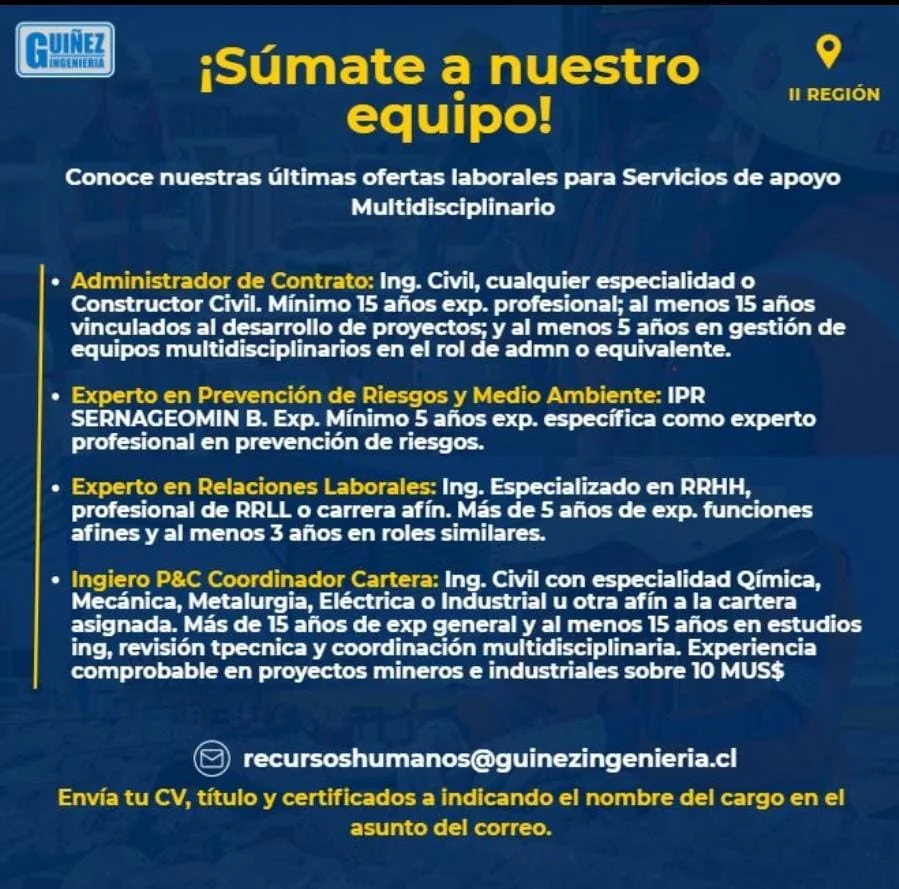 Profesionales para Servicios de Apoyo en II Región - imagen 1
