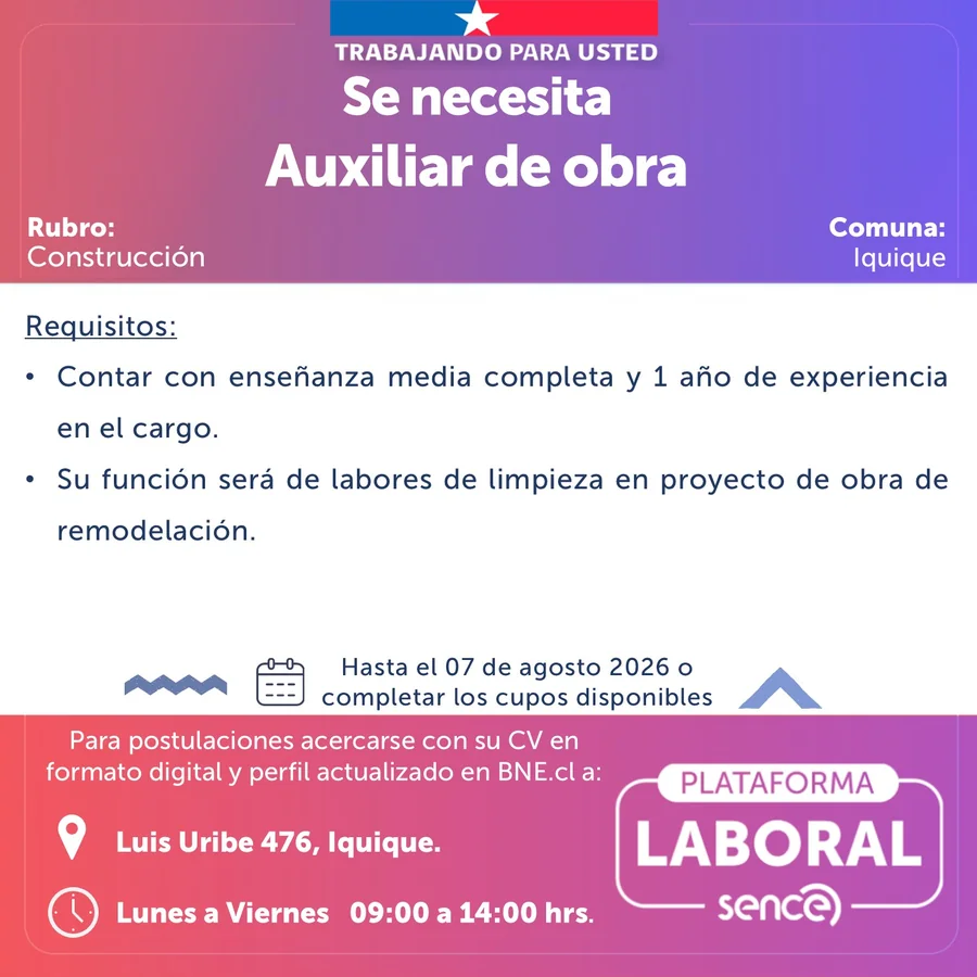 Auxiliar de obra - imagen 1